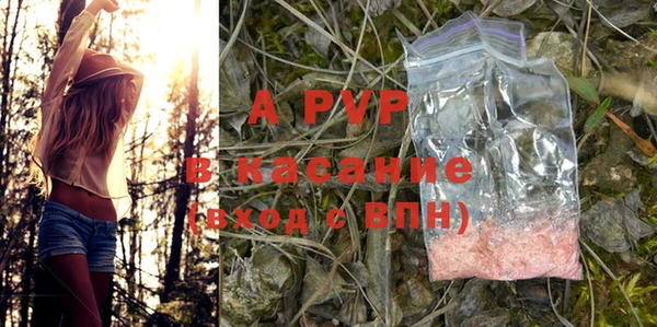 стаф Ладушкин