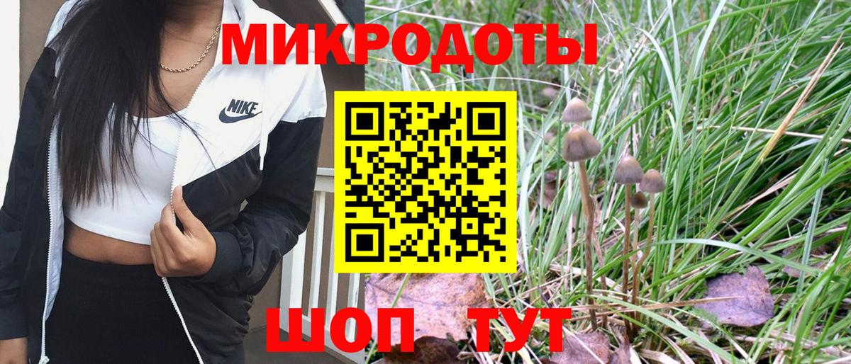 Псилоцибиновые грибы Magic Shrooms Родники